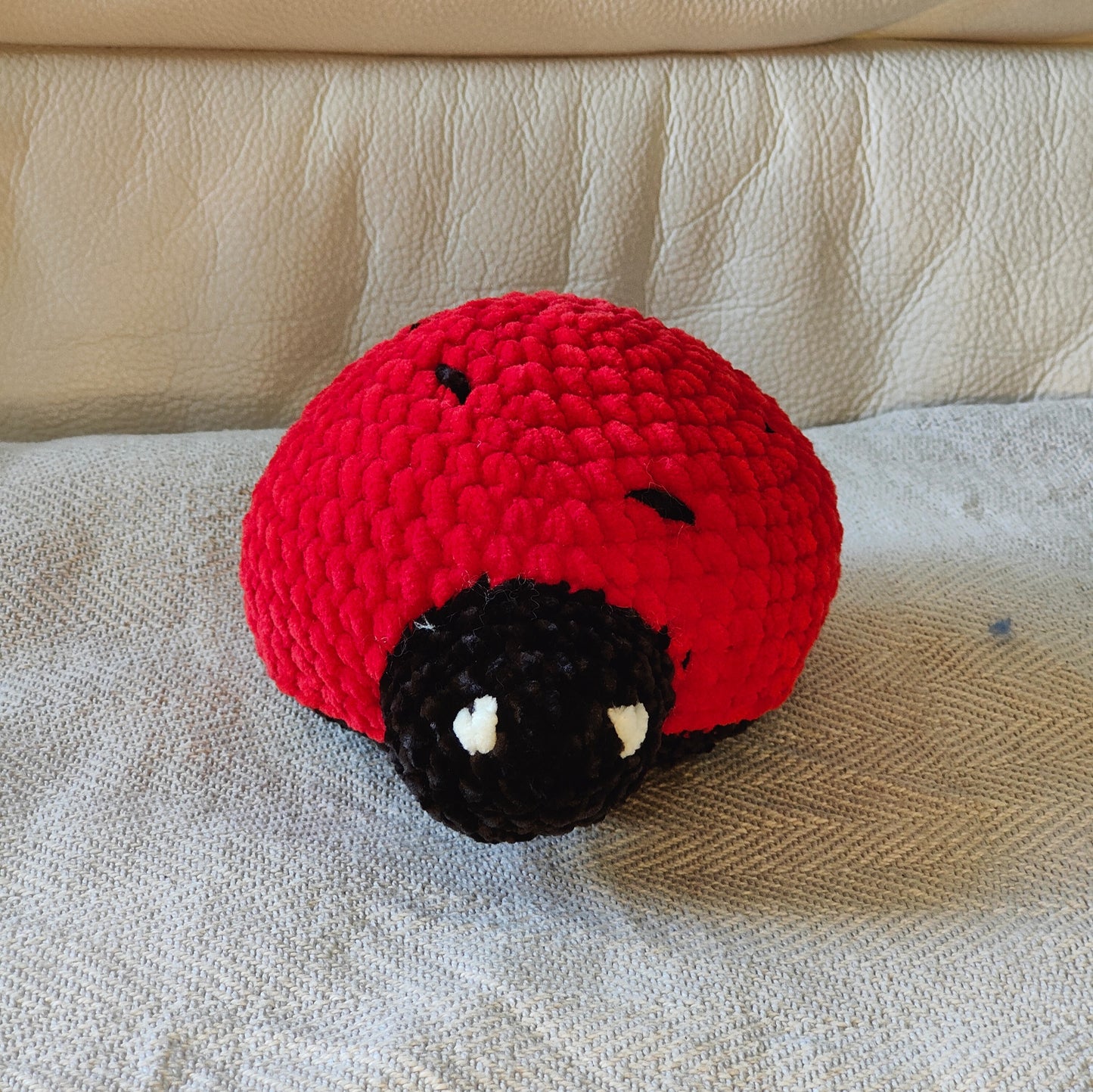 Grande coccinelle