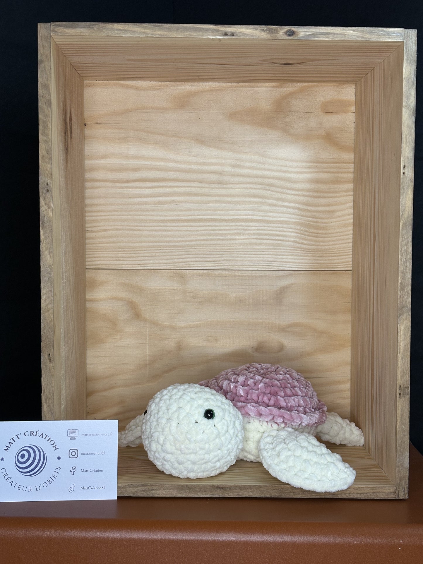 Tortue marine
