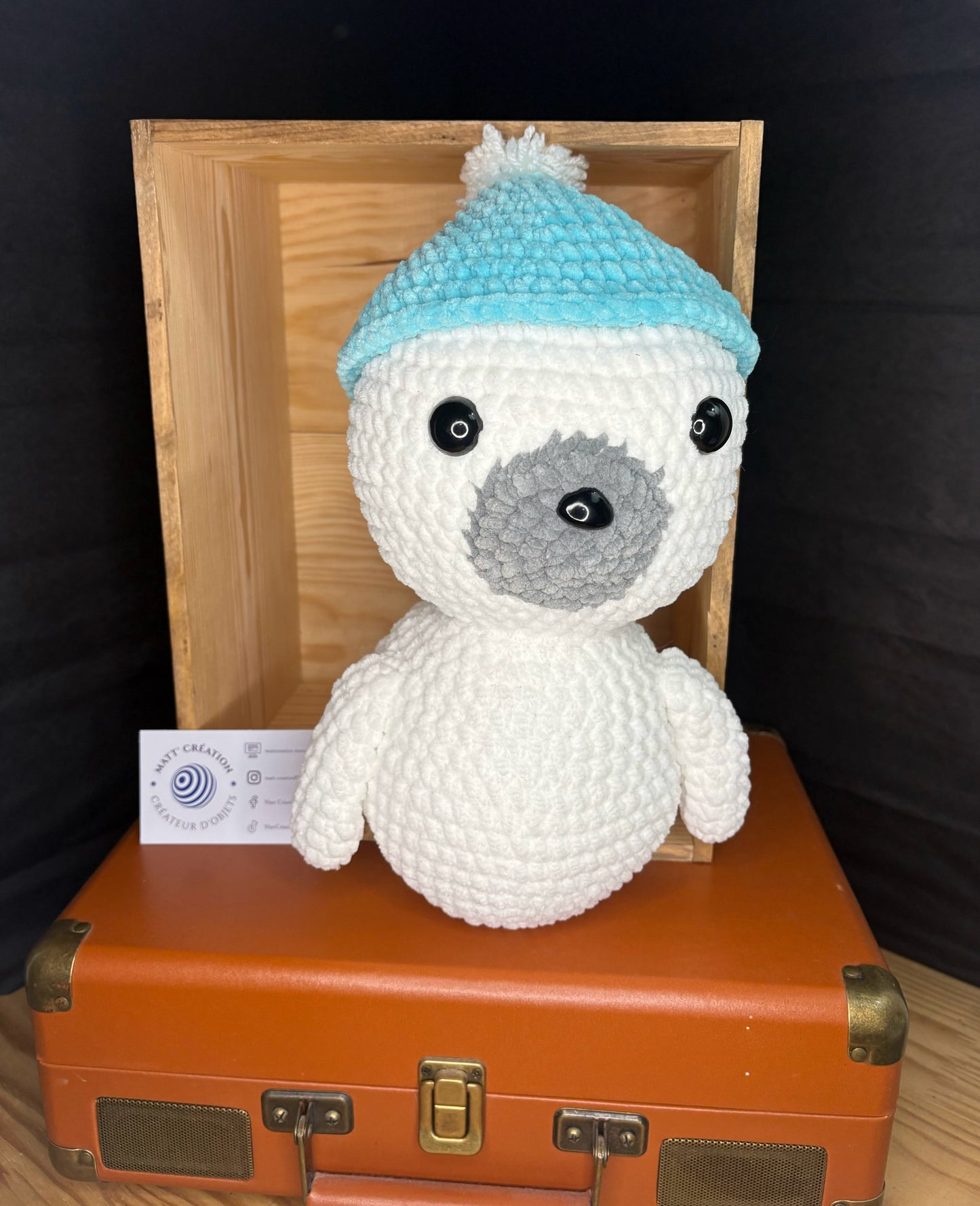 Bébé phoque et son bonnet
