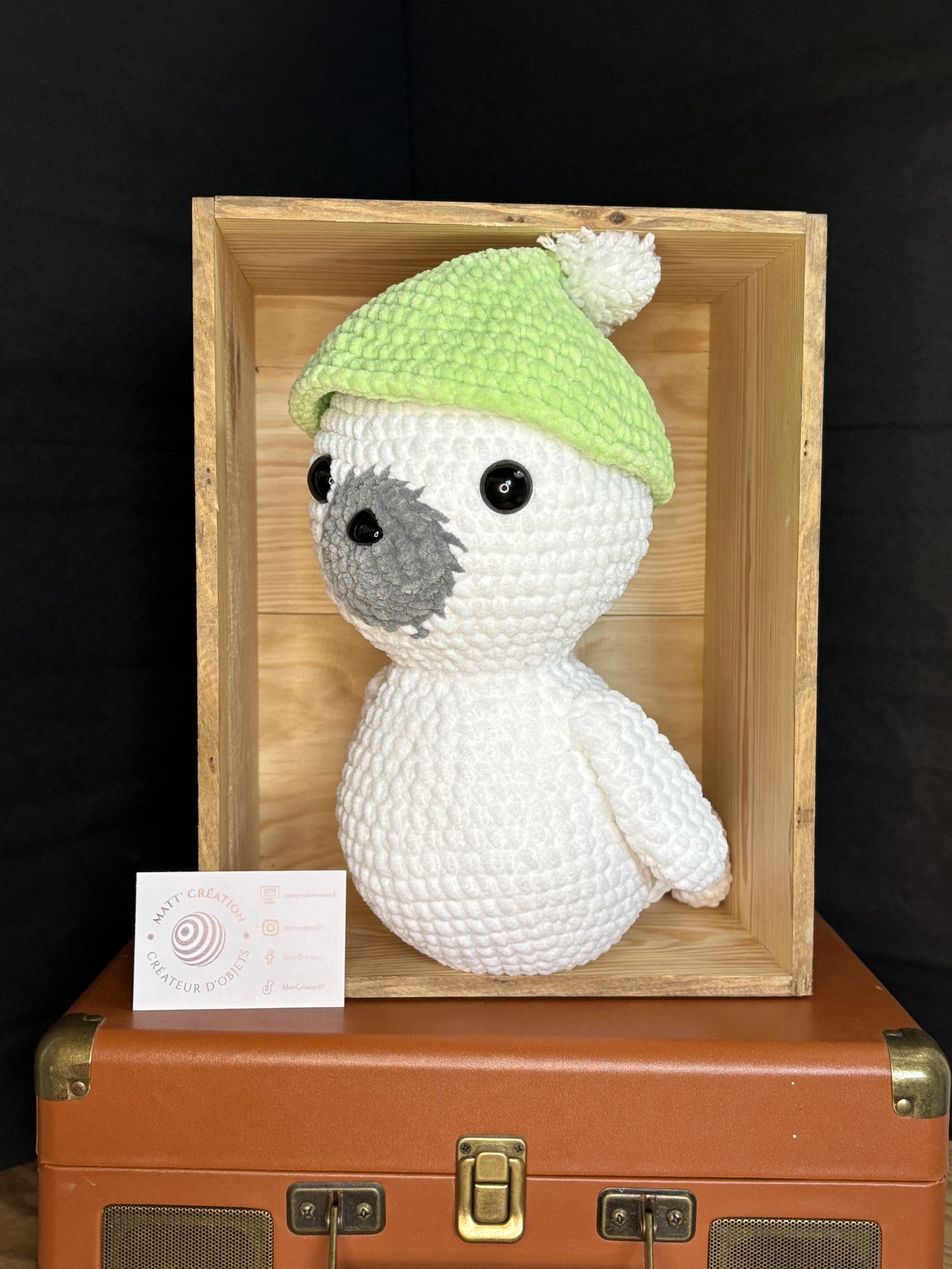 Bébé phoque et son bonnet