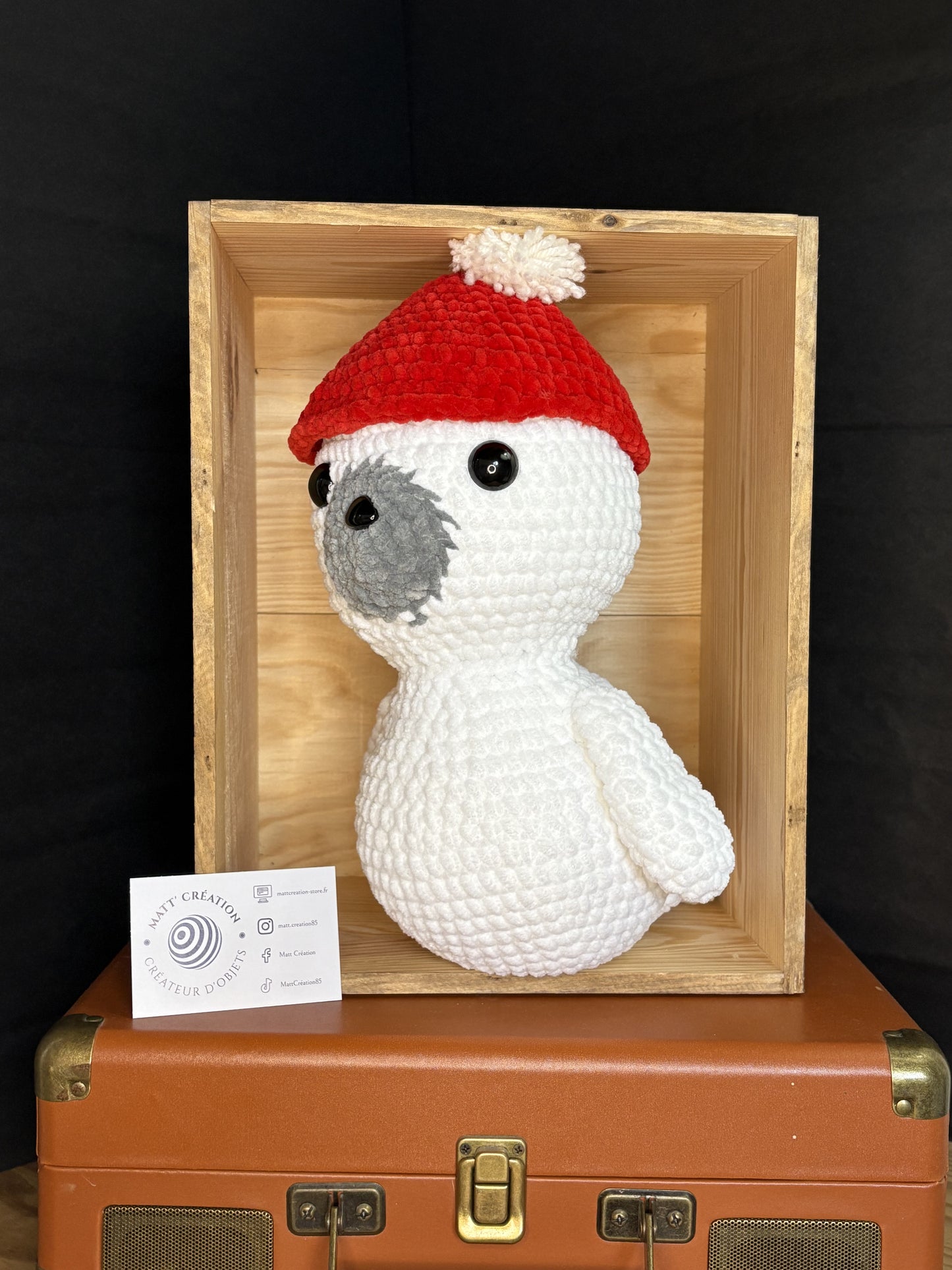 Bébé phoque et son bonnet